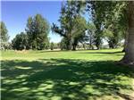 A fairway at the golf course at Y KNOT WINERY & RV PARK - thumbnail