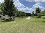 A row of grassy RV sites at RIVER BOTTOM FARMS FAMILY CAMPGROUND - thumbnail