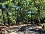 Fire pit and picnic tables near campsites at OCEAN CITY CAMPGROUND AND BEACH CABINS - thumbnail