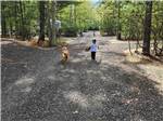 Boy walking his dog onsite at OCEAN CITY CAMPGROUND AND BEACH CABINS - thumbnail