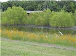 The lake and wildflowers at CARTHAGE RV CAMPGROUND - thumbnail