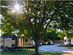 Tree shading at campsite with a camper at NEW VISION RV PARK - thumbnail