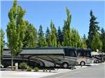 RVs parked at campsite at MAPLE GROVE RV RESORT - thumbnail