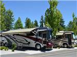 Two large RVs parked at MAPLE GROVE RV RESORT - thumbnail
