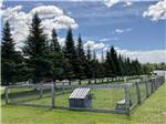 The fenced in pet area at PUMPKIN PATCH RV RESORT - thumbnail