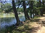 A woman sitting next to a tree by the river at PARKVIEW RIVERSIDE RV PARK - thumbnail