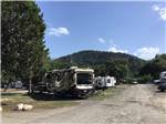 A row of RV sites with trees at PARKVIEW RIVERSIDE RV PARK - thumbnail