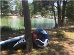 Inflatable water toys leaning against a tree by the river at PARKVIEW RIVERSIDE RV PARK - thumbnail