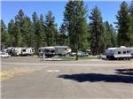 A road leading to a group of RV sites at MCCALL RV RESORT - thumbnail