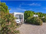 A row of private gravel RV sites at DESERT VIEW RV RESORT - thumbnail