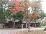 Cabins with decks at NOVA FAMILY CAMPGROUND - thumbnail