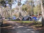Tents camping at NOVA FAMILY CAMPGROUND - thumbnail