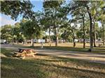 A RV site with a picnic bench at OAK FOREST RV RESORT - thumbnail