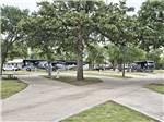 A row of empty RV sites with motorhomes behind them at OAK FOREST RV RESORT - thumbnail