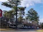 A row of RV sites under trees at HARVEST MOON RV PARK - thumbnail