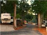 RV sites under trees at BIRDSONG RESORT & MARINA LAKESIDE RV & TENT CAMPGROUND - thumbnail