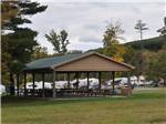 Patio area with picnic tables at TWIN GROVE RV RESORT & COTTAGES - thumbnail