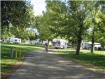 RVs and trailers at campground at SAN BERNARDINO COUNTY REGIONAL PARKS - thumbnail