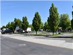 More RV sites with trees at HORN RAPIDS RV RESORT - thumbnail