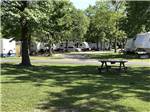 A picnic table in a grassy area at INDIAN POINT RV RESORT - thumbnail