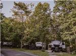 A row of trailers parked under tall trees at HERITAGE COVE RESORT - thumbnail