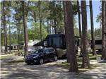 A motorhome parked under trees at SUN ROAMERS RV RESORT - thumbnail