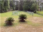 The fenced in pet area at SUN ROAMERS RV RESORT - thumbnail