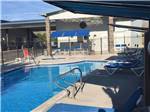 Pool flanked by blue chaise lounged under canopy at SPARKS MARINA RV PARK - thumbnail