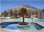 Swimming pool with hot tub at ENCORE PARADISE RV - thumbnail
