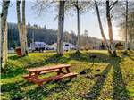 A picnic bench in a campsite at HOQUIAM RIVER RV PARK - thumbnail
