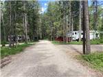 Paved road leading to RV sites at GLACIER MEADOW RV PARK - thumbnail