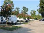 A row of gravel RV sites with trees at CAPITAL CITY RV PARK - thumbnail
