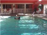Dad and son playing in the pool at MEREDITH WOODS 4 SEASON CAMPING AREA - thumbnail