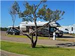 RVs and trailers at campground at MESA VERDE RV PARK - thumbnail