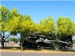 Flowered trees covering an RV at EAGLE VIEW RV RESORT ASAH GWEH OOU-O AT FORT MCDOWELL - thumbnail