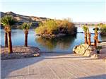 A boat ramp with palm trees at COLORADO RIVER OASIS RESORT - thumbnail