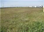 A green grassy field at KIT FOX RV PARK - thumbnail