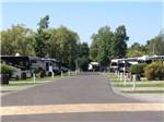 A road going thru the RV sites at CAMPING LA CLE DES CHAMPS RV RESORT - thumbnail