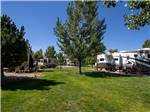 RV spots surrounded by trees at IRON HORSE RV RESORT - thumbnail