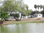 A line of ducks walking by the water at LAZY PALMS RANCH RV PARK - thumbnail