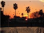 The sun setting over the RV sites and lake at LAZY PALMS RANCH RV PARK - thumbnail