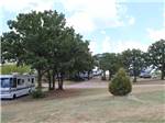 A line of trees next to an RV site at OAK GLEN RV PARK - thumbnail