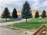 A group of trees in a grassy area at CHALLIS GOLF COURSE RV PARK - thumbnail