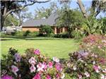 Flowers in front of a grassy area at MAJESTIC OAKS RV RESORT - thumbnail