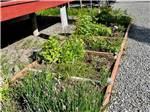 A flower bed in front of the office at KLONDIKE RV PARK & COTTAGES - thumbnail