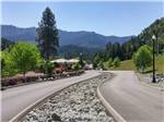Entry road with large trees on both sides and mountains in background at SEVEN FEATHERS RV RESORT - thumbnail
