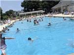 People playing in the swimming pool at BRIARCLIFFE RV RESORT - thumbnail