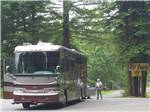RV parked at campsite at ANCIENT REDWOODS RV PARK - thumbnail
