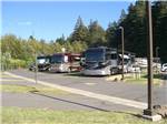 RVs parked in a row at ANCIENT REDWOODS RV PARK - thumbnail
