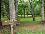 The paws and feet only grassy area at FRANKLIN RV PARK & CAMPGROUND - thumbnail